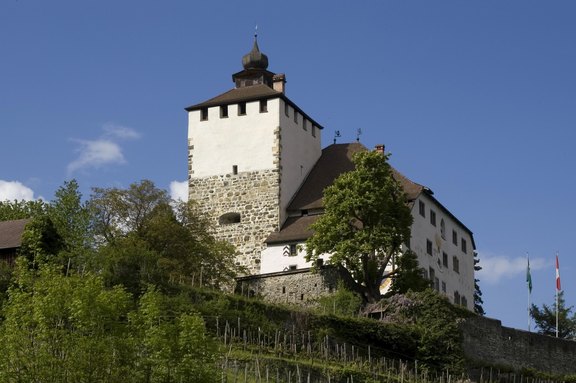 schloss-werdenberg.jpg